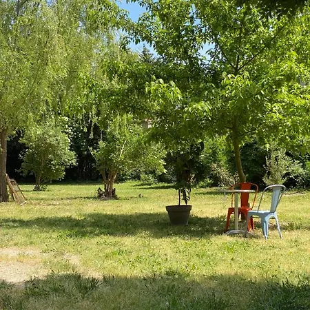 Couette-café D'hotes Les Cypres De L'ile Avignon